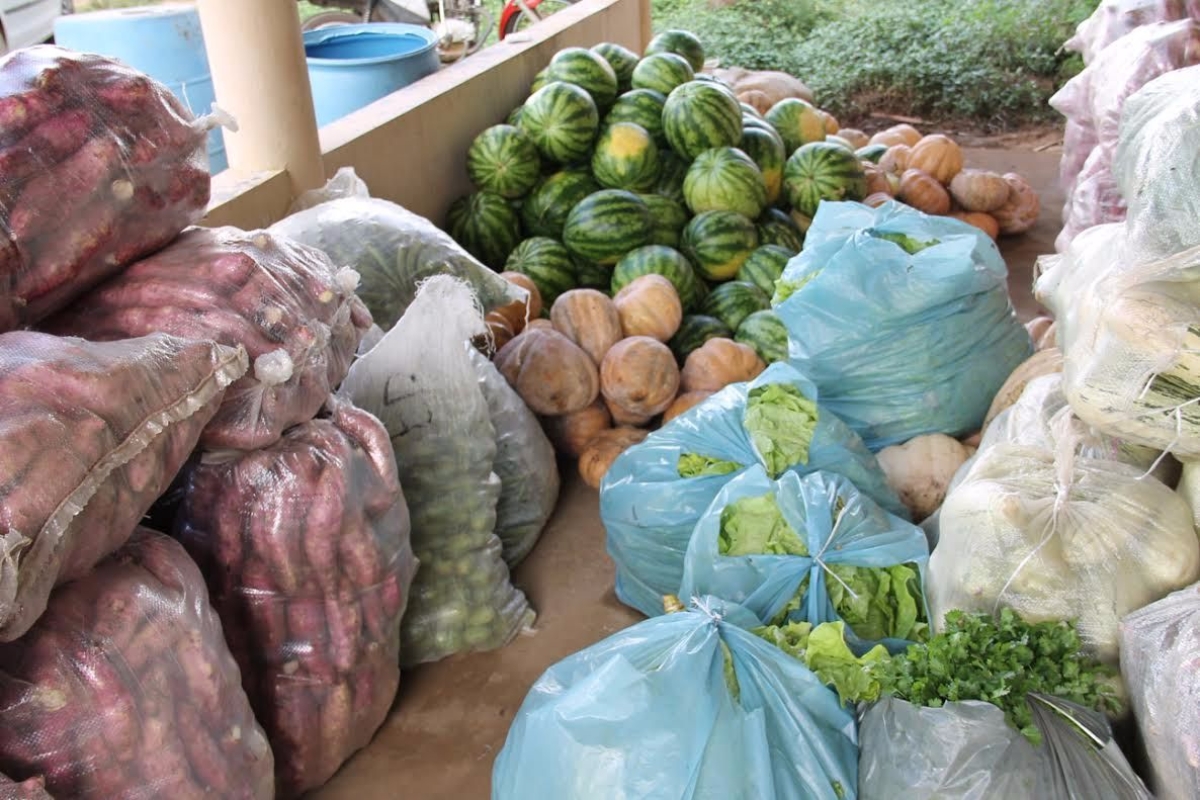 Produtos entregues pelos agricultores da Astrapicica, irrigantes do Jacarecica II, so entregues ao CRAS de Areia Branca (Foto: Ariel Carmo/Cohidro/SE)