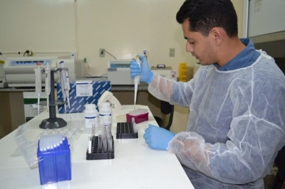 Pesquisas do Lacen e da USP confirmam prevalncia da circulao do vrus Chikungunya em Sergipe (Foto: SES/SE)