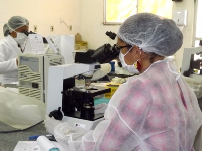 Informe Epidemiolgico confirma dois novos casos de Zika em Sergipe (Foto: SES/SE)