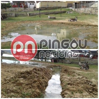 Morador flagra esgoto sendo despejado em principal ponto turstico de cidade do Serto (Imagem: Pingou Notcias)