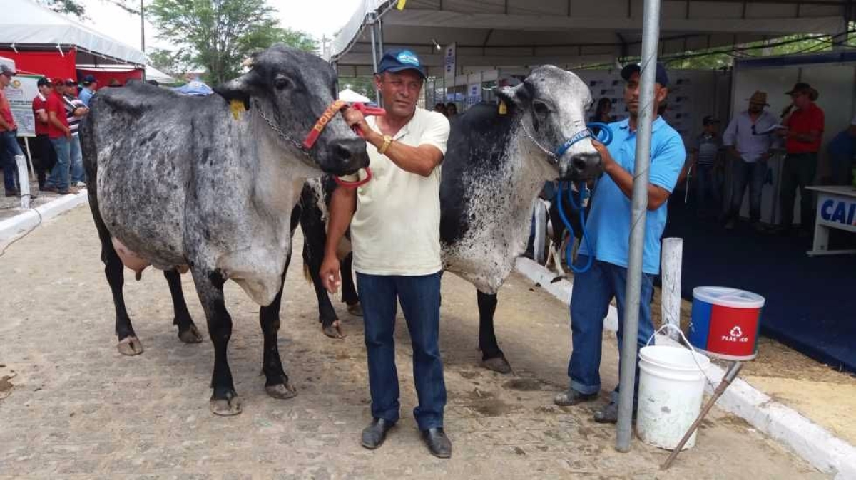 X Festa do Ouro Branco comea nesta quarta em Nossa Senhora da Glria (Imagem: Assessoria do Evento)