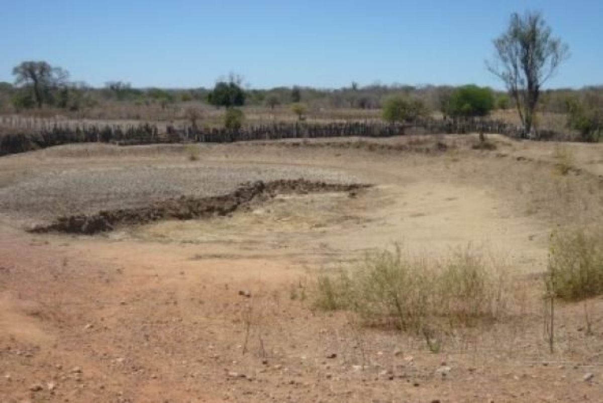 Seca na Bahia (Imagem: Defesa Civil da Bahia/Divulgao)