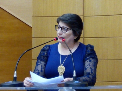 PL de Maria Mendona garante a insero de jovens no mercado de trabalho (Foto: Assessoria Maria Mendona)